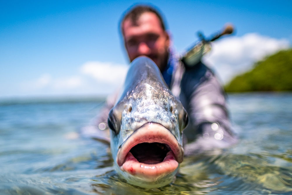 20 Tips for Flats Fishing - Gil's Fly Fishing International