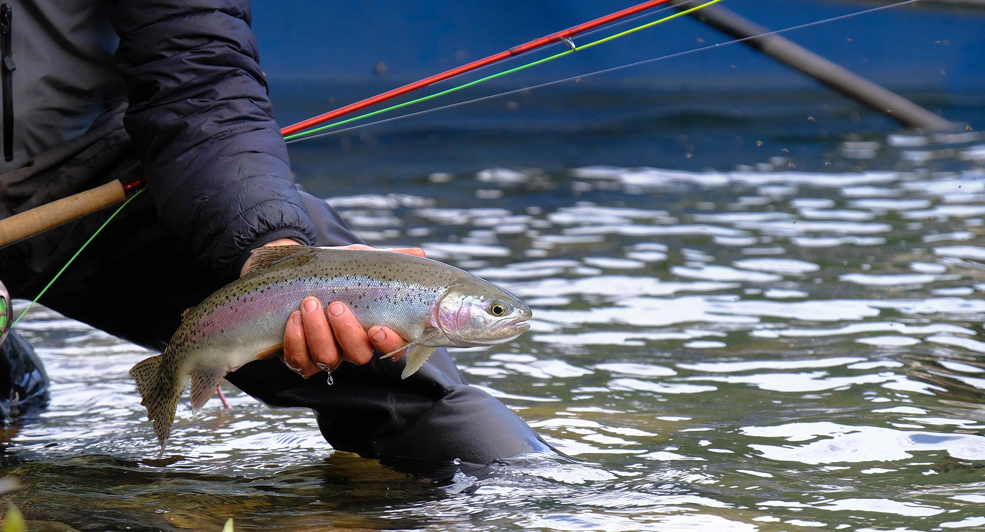 Black Bear Lodge - Gil's Fly Fishing International